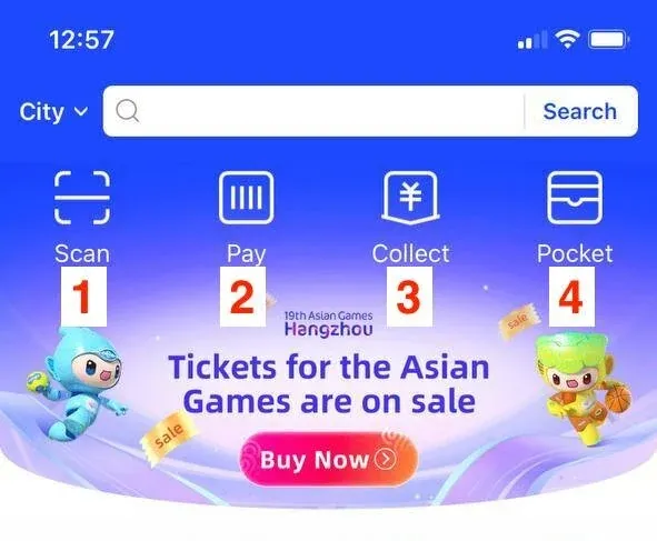 Основные функции Alipay